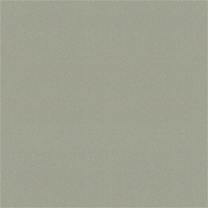 KG1110香檳(bin)銀